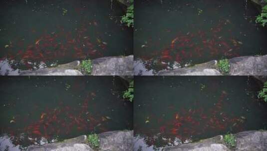 杭州吴山景区泼水观音高清在线视频素材下载