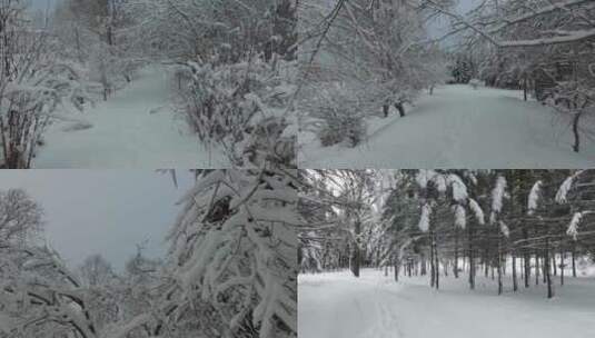 黑水兴安塔河 下雪雪景 手持拍摄高清在线视频素材下载