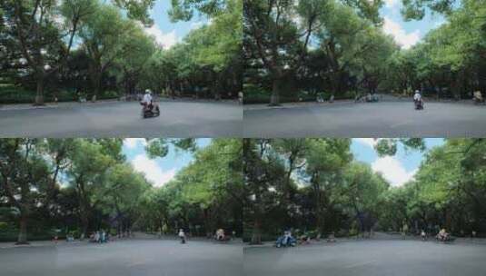 广西桂林城市道路绿树成荫的老城区街道街景高清在线视频素材下载