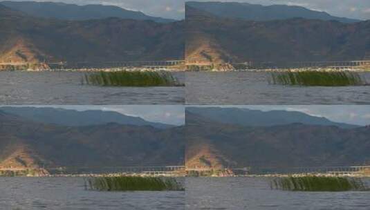 夕阳下的山川湖泊和水草高清在线视频素材下载