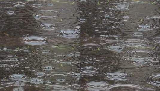 下雨雨水落在地面高清在线视频素材下载