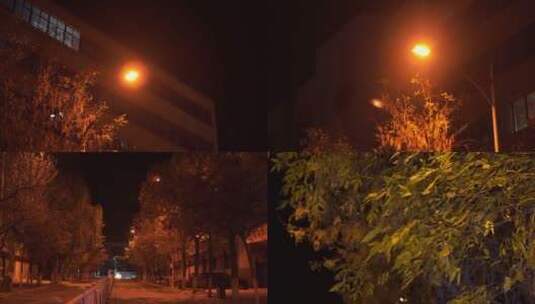 夜晚路灯空镜 路灯亮起 小区路灯高清在线视频素材下载