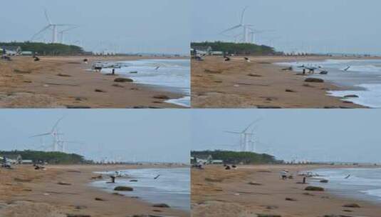 东方市鱼鳞洲沙滩上的游客与风力发电机。高清在线视频素材下载