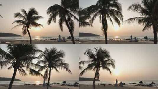 大海边椰子树和日出高清在线视频素材下载