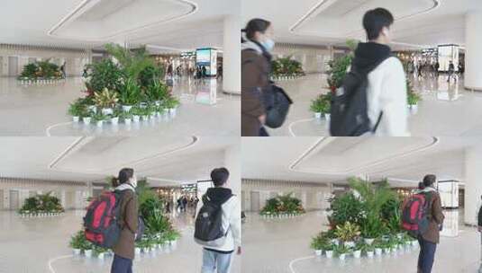 机场内装饰绿植高清在线视频素材下载