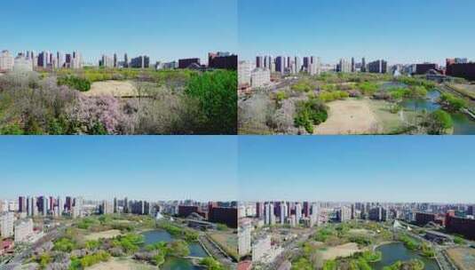 天津现代化城市公园绿地休闲生活高清在线视频素材下载