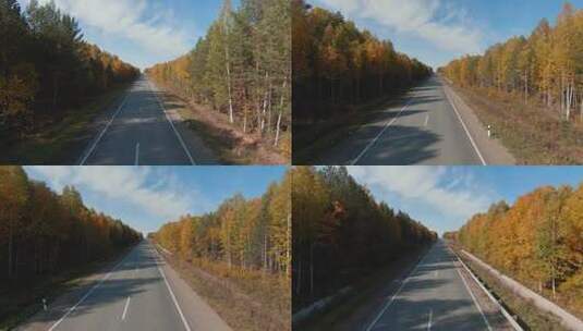 航拍森林公路高清在线视频素材下载