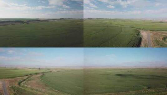 玉米田的美丽全景鸟瞰图高清在线视频素材下载