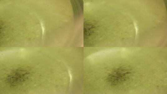 食品添加剂绿茶瓜子掉色高清在线视频素材下载
