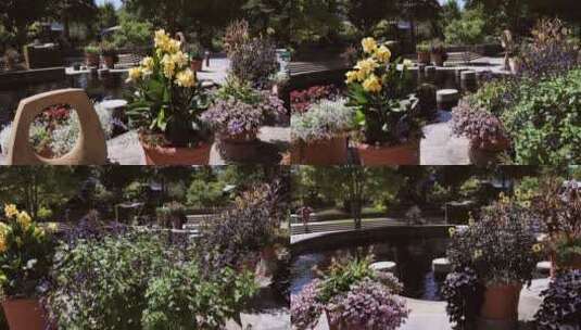 植物园中的的盆栽植物高清在线视频素材下载