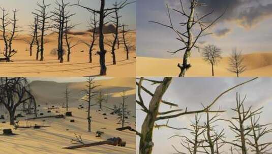 干旱贫瘠的沙漠枯树和树桩高清在线视频素材下载