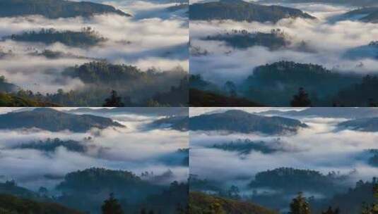 森林里的雾延时高清在线视频素材下载