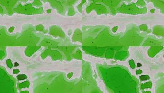 绿色的盐湖高清在线视频素材下载