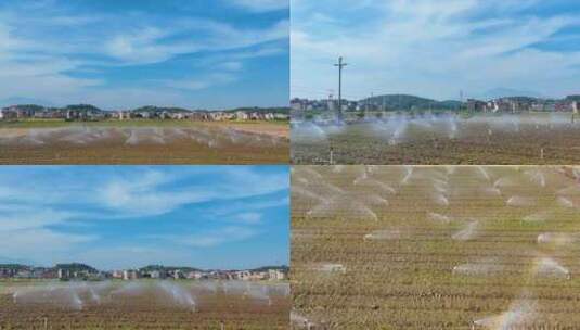 （原创）蔬菜基地灌溉 喷水 洒水高清在线视频素材下载