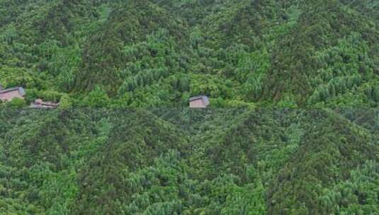 甘肃天水麦积山石窟高清在线视频素材下载