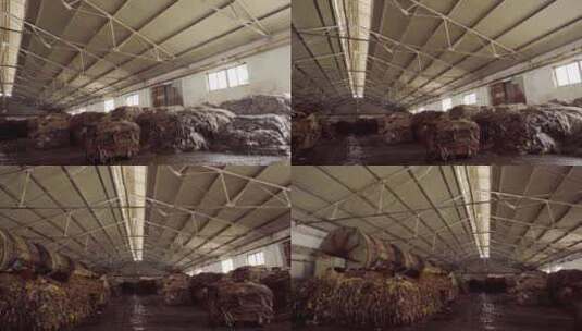 石家庄无极县牛皮革厂制造牛皮 毛皮高清在线视频素材下载