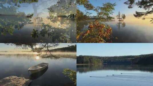 秋季清晨湖泊日出浓雾气芦苇水墨自然风光高清在线视频素材下载