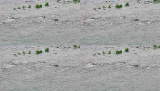 4K大自然天然山泉泉水流水小溪溪流高清在线视频素材下载