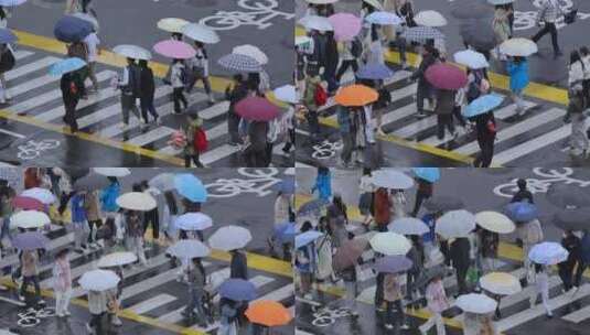 雨天街道路口斑马线人群过马路高清在线视频素材下载