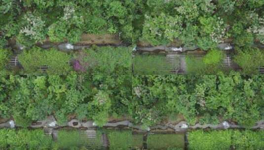 广东东莞：山溪蜿蜒、流水潺潺高清在线视频素材下载