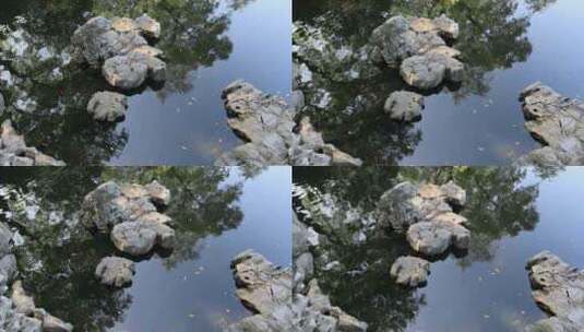 江南园林水景景观高清在线视频素材下载