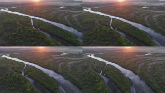 呼伦贝尔草原湿地河流朝阳高清在线视频素材下载