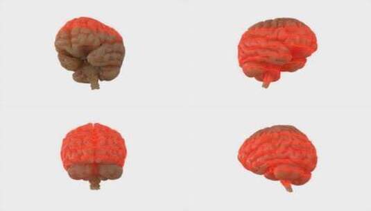 大脑、扫描、激光、科学高清在线视频素材下载