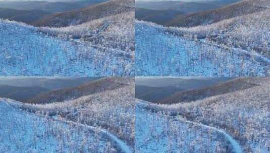 航拍大兴安岭林海雪原风光高清在线视频素材下载