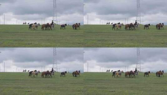 游客草原上女孩骑马高清在线视频素材下载