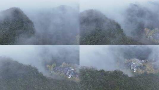 中国广西壮族自治区桂林市灵川县海洋乡银杏高清在线视频素材下载