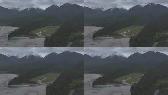 西藏林芝波密岗云杉林原始森林航拍自然风光高清在线视频素材下载