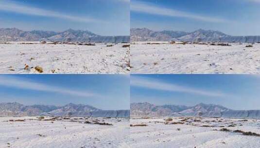 贺兰山雪景 贺兰山西麓雪景3高清在线视频素材下载