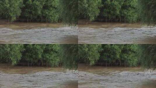 实拍暴雨后洪水 山洪  泥石流高清在线视频素材下载