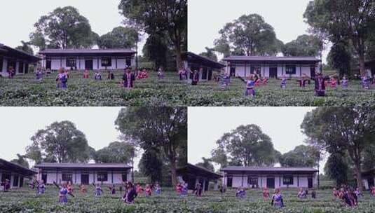 相机4K高清摄云南普洱茶博园佤族歌舞表演高清在线视频素材下载