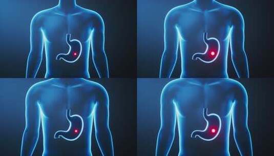 透明人体内的胃生物医学三维渲染高清在线视频素材下载