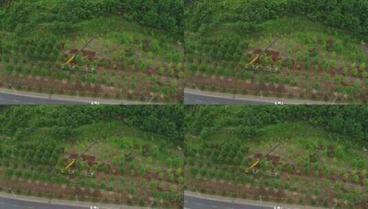 航拍现代化植树造林4K高清在线视频素材下载