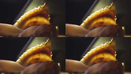 梭子蟹海蟹螃蟹 (11)高清在线视频素材下载