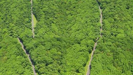 航拍自驾游汽车在森林中的公路上行驶高清在线视频素材下载