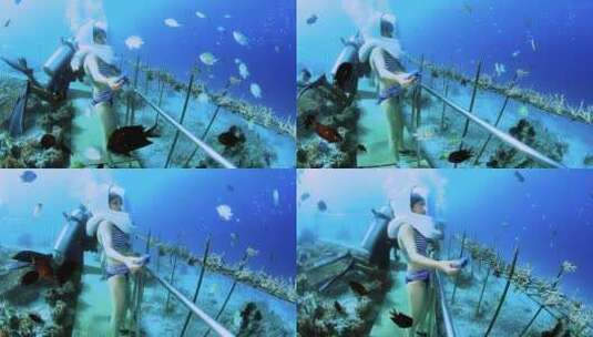 印尼美娜多海底漫步高清在线视频素材下载