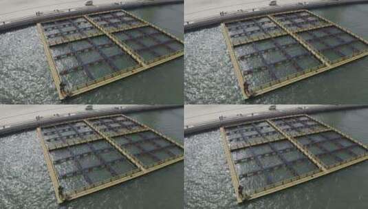 贝类苗种海鲜养殖鱼塘农业高清在线视频素材下载