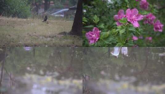夏季雨天 雨天行人倒影4K高清在线视频素材下载