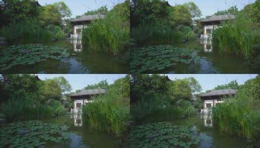 武汉硚口区园博园昆明园风景高清在线视频素材下载