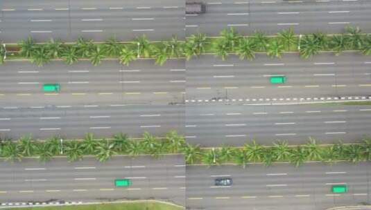 海口椰树道路高清在线视频素材下载