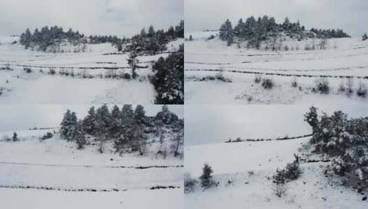 冬季雪山自然风光视频积雪覆盖雪山树林高清在线视频素材下载