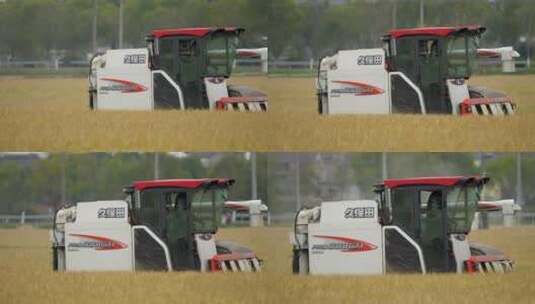 乡村水稻小麦农作物机械化收割高清在线视频素材下载