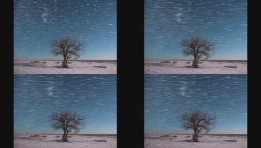 呼伦贝尔一棵树延时星轨高清在线视频素材下载
