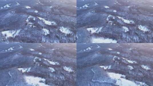 航拍4K大兴安岭漠河林海雪原高清在线视频素材下载