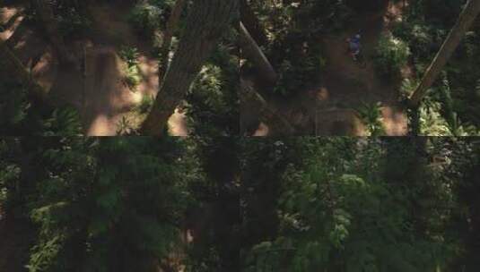 森林中的山地车越野航拍高清在线视频素材下载