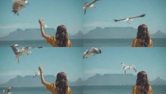 美女喂海鸥  海鸥叼走美女手上的食物高清在线视频素材下载