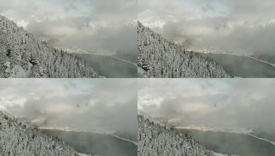 航拍冬季森林云雾湖泊河流迷雾雪松云杉林高清在线视频素材下载